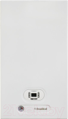 Газовый котел Fondital Minorca CTFS 24 (с дымоходом)
