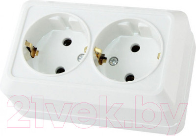 Розетка TDM Ладога SQ1801-0019 (белый)