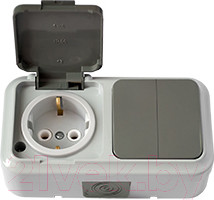 Блок выключатель+розетка Bylectrica Пралеска Аква 2В-РЦ-659 (серый)