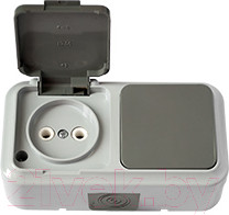 Блок выключатель+розетка Bylectrica Пралеска Аква В-РЦ-653 (серый)