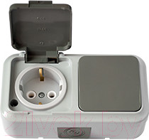 Блок выключатель+розетка Bylectrica Пралеска Аква В-РЦ-657 (серый)