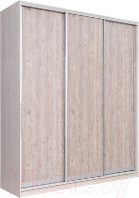 Шкаф-купе Рэйгрупп 176450 YSX Elgon РГ-09.03 (ясень снежный/сосна натуральная/хром)
