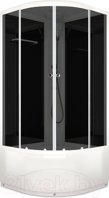 Душевая кабина Domani-Spa Delight 110 High / DS01D110HBT00 (черный/тонированное стекло)