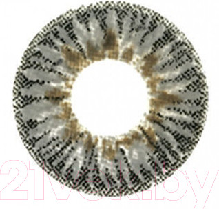 Комплект контактных линз Hera Elegance Grey Sph-0.00 (2шт)