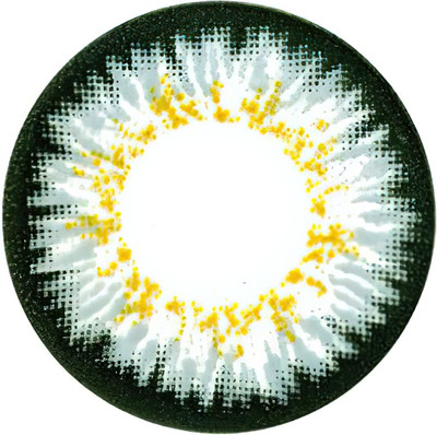 Комплект контактных линз Hera Paradise Grey Sph-1.00 (2шт)