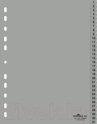 Разделитель документов Durable 652310 (серый)
