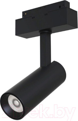 Трековый светильник Maytoni TR019-2-10W4K-B