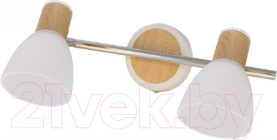 Спот TDM SQ0356-0003