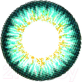 Комплект контактных линз Hera Paradise Aqua Sph-4.00 (2шт)