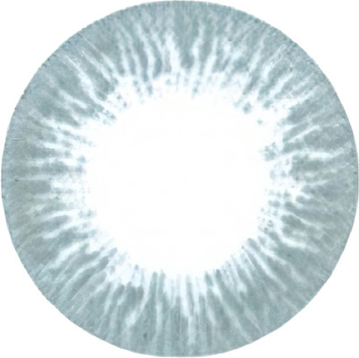 Комплект контактных линз Hera Rise Grey Sph-4.50 (2шт)