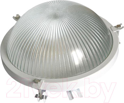 Светильник ЖКХ Элект НПП 03-100-001