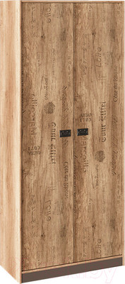 Шкаф ТриЯ Пилигрим ТД-276.07.22 (дуб каньон светлый/серый)