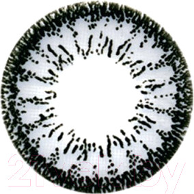 Комплект контактных линз Hera Dream Grey Sph-4.00 (2шт)