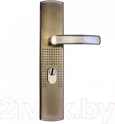 Ручка дверная Аллюр Стандарт РН-СТ222-1-R