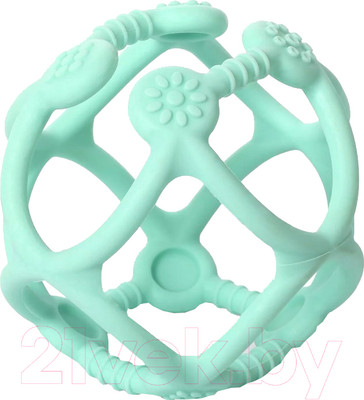 Прорезыватель для зубов BabyOno Ortho 0м+ / 489/01 (бирюзовый)
