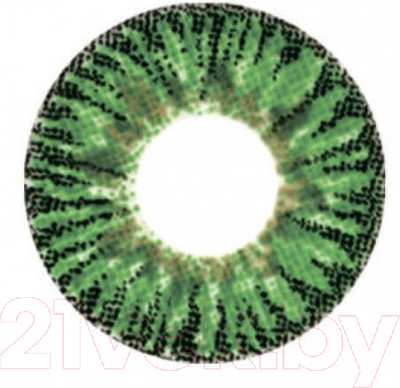 Комплект контактных линз Hera Elegance Green Sph-6.00 (2шт)