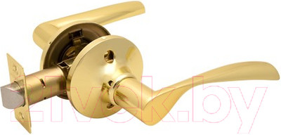 Ручка дверная Avers 8023-05-G