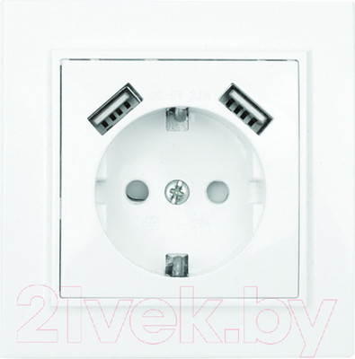 Розетка EKF Basic Минск СП 1-м 16А / ERR16-028-100-2USB (белый)
