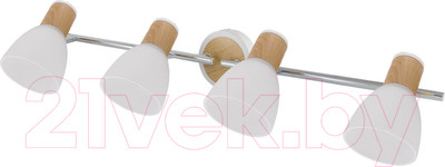 Спот TDM SQ0356-0005