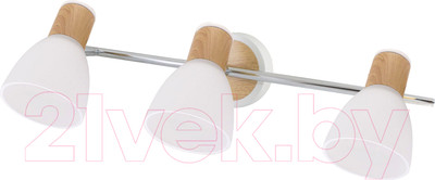 Спот TDM SQ0356-0004