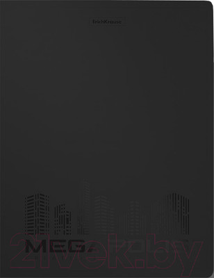 Папка-регистратор Erich Krause Megapolis / 50515