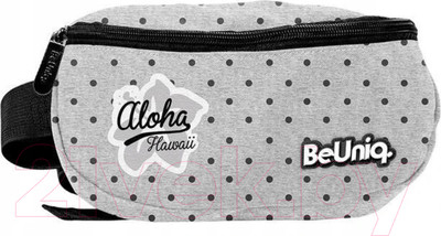 Сумка на пояс Paso PPAH20-510