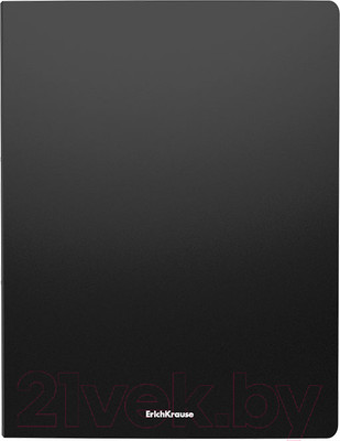 Папка для бумаг Erich Krause Matt Classic / 49964
