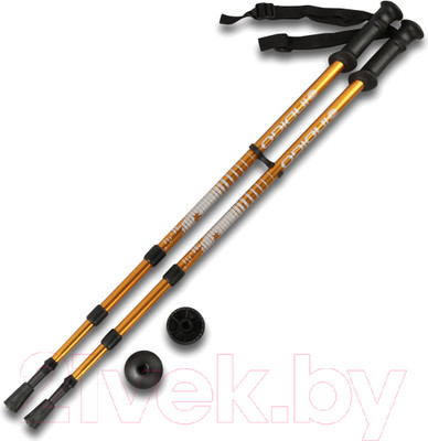 Палки для скандинавской ходьбы Indigo Sport SL-1-3 М1 (золото)