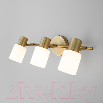 Спот Евросвет Corso 20089/3 (бронза)