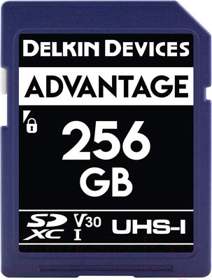 Карта памяти Delkin Advantage SDXC 256GB 633X UHS-I (Class 10) V30 (DDSDW633256G)