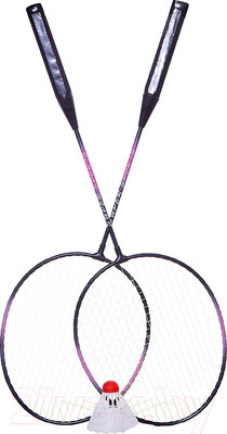 Набор для бадминтона Teloon 016 TL