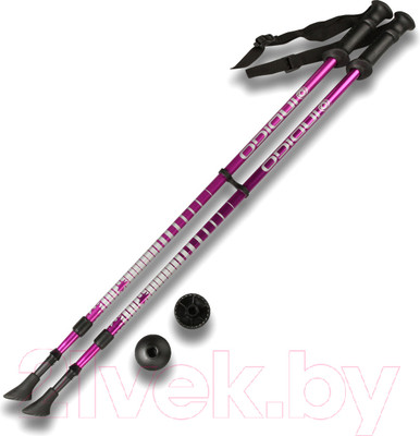 Палки для скандинавской ходьбы Indigo Sport SL-1-2 (фиолетовый)