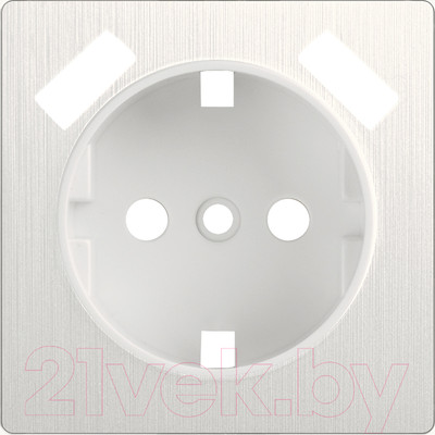 Лицевая панель Werkel WL13-USB-CP / a040891 (перламутровый рифленый)