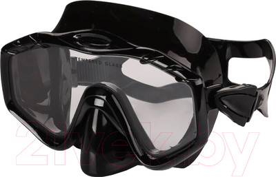 Маска для плавания Indigo Sport Crow / IN055 (черный)