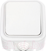 Выключатель Bylectrica Пралеска Аква А1 4-100 (белый)