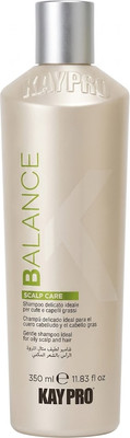 Шампунь для волос Kaypro Scalp Care Balance cебум-контроль для жирной кожи головы и волос (350мл)