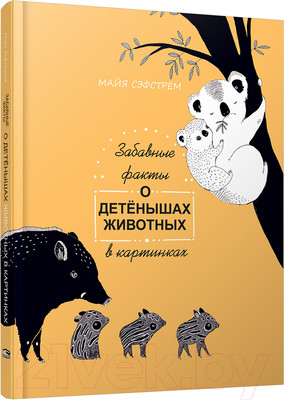 Энциклопедия Попурри Забавные факты о детенышах животных в картинках (Сэфстрем М.)