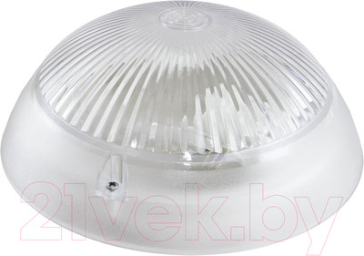 Светильник ЖКХ TDM НПП 03-100-010.01 У3 Сириус