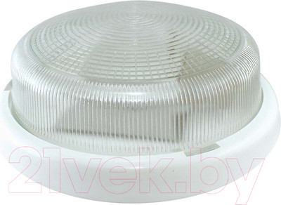 Светильник ЖКХ TDM НПП 03-100-015.01 УХЛ4 Рондо