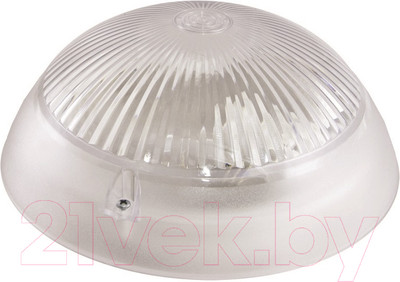 Светильник ЖКХ TDM НПП 03-100-010.11 У3 Сириус (металлический корпус)