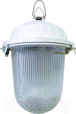 Светильник для подсобных помещений TDM НСП 02-100-001.01 У2 (без решетки, стекло, крюк)