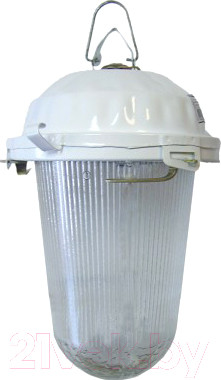 Светильник для подсобных помещений TDM НСП 02-200-021.01 У2 (без решетки, стекло, крюк)