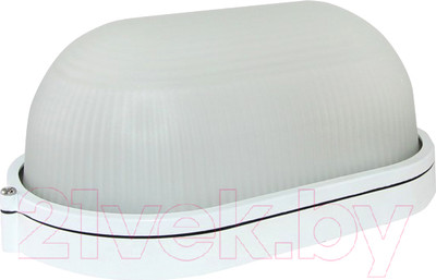 Светильник ЖКХ TDM НПБ1201 100Вт IP54 (белый, овал)