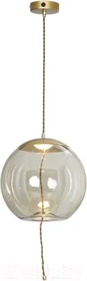 Потолочный светильник Lussole Loft Acquario LSP-8356
