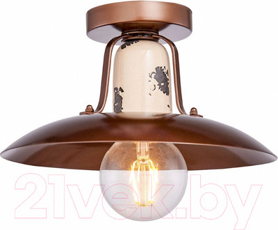 Потолочный светильник Lussole Loft Vermilion GRLSP-8161