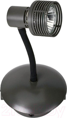 Трековый светильник Lussole Loft LSP-9821