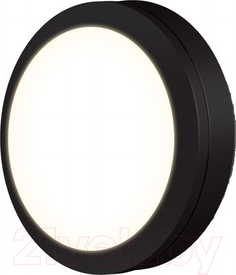 Бра уличное Elektrostandard LTB51 LED 15W 4200K (черный)