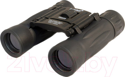 Бинокль Levenhuk Atom 10x25 / 67676