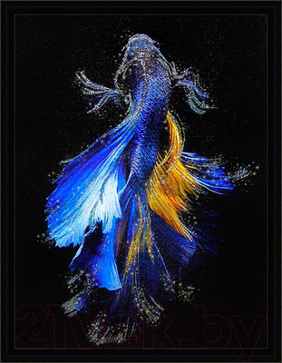 Картина Декарт Синяя рыбка 8Л2530 (в раме)