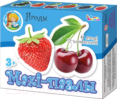 Пазл Десятое королевство Maxi. Ягоды / 02647 (12эл)